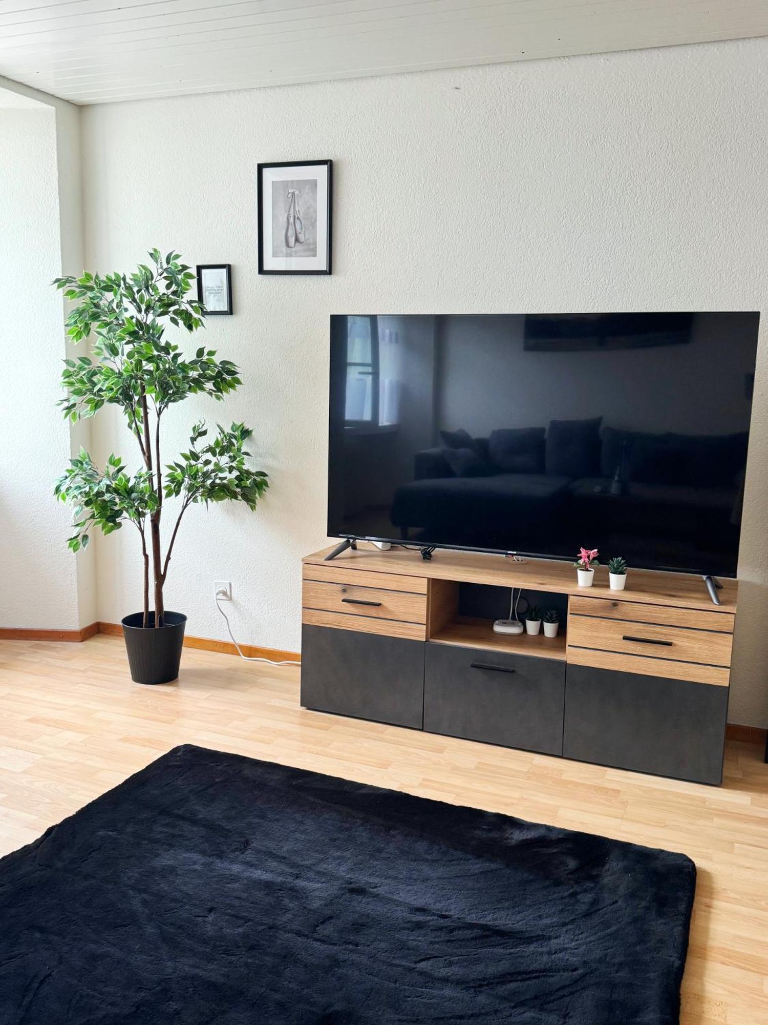 Tas24Ch Travel And Sleep 24 Apartment St. Gallen Exterior photo